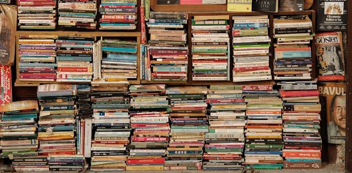 100 novels (of limited literary&nbsp;value)